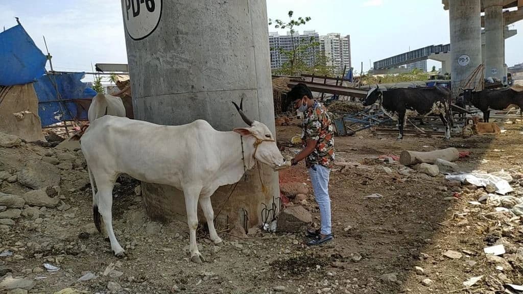 Help to Animals — photo 1