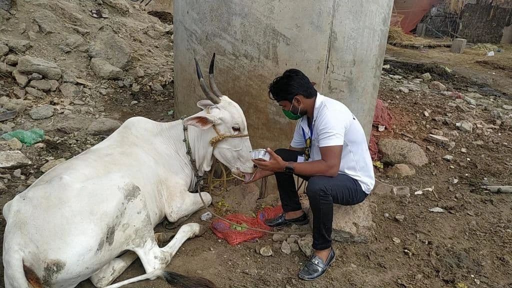 Help to Animals — photo 4