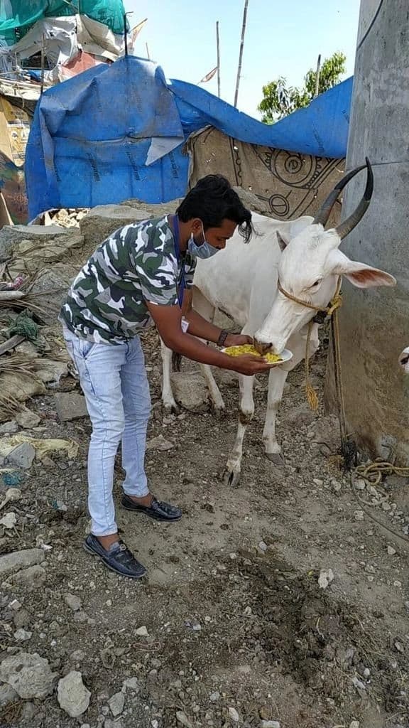 Help to Animals